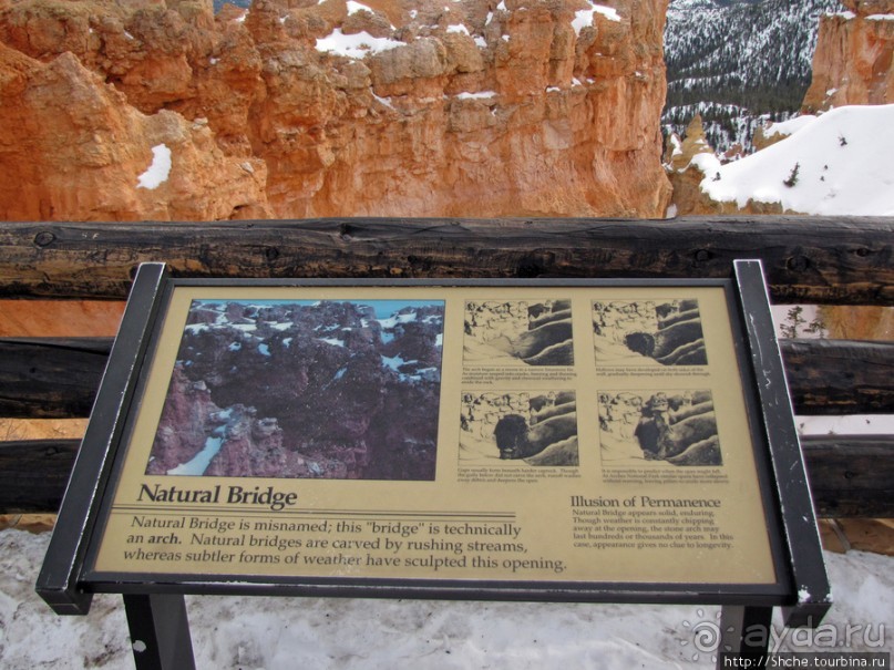 Bridge Canyon — здесь на скалах растут деревья