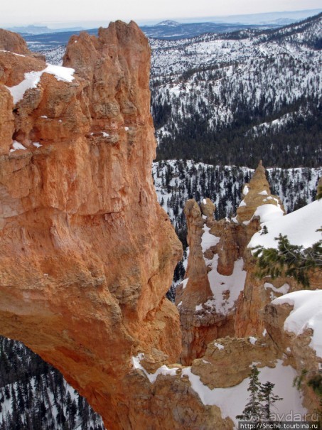 Bridge Canyon — здесь на скалах растут деревья