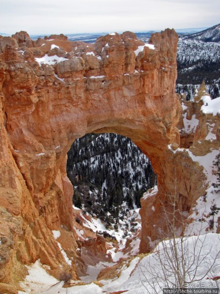 Bridge Canyon — здесь на скалах растут деревья