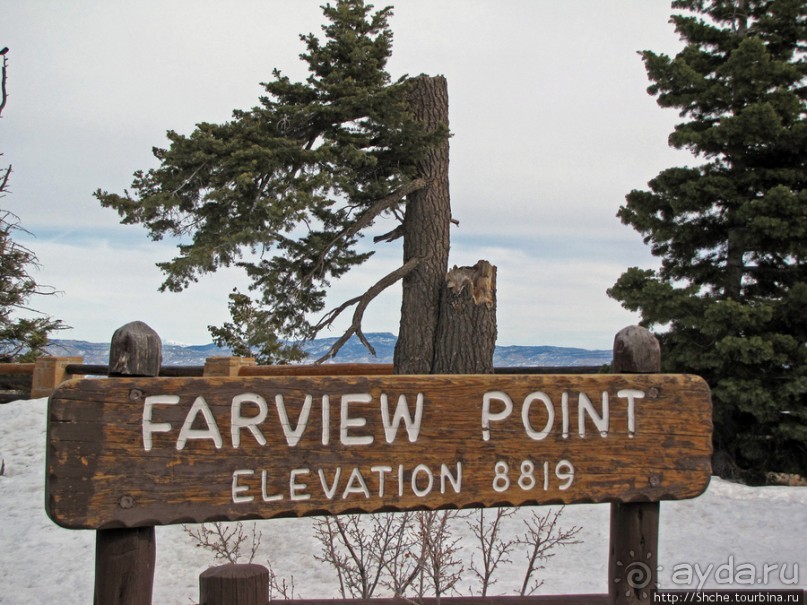 Bridge Canyon — здесь на скалах растут деревья