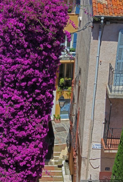 Le Suque — историческая часть города Канны