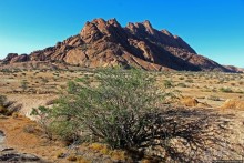 Альбом отзыва ""Маттерхорн" Намибии"