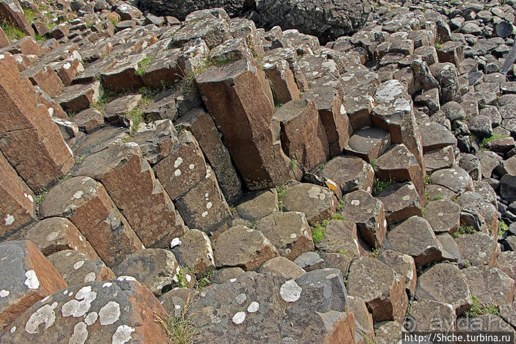 Три с половиной легенды о Тропе Великана. Игра воображения