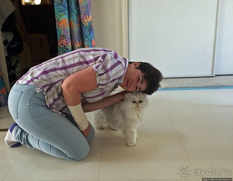 Честь "открывать" Францию-2016 выпала лотарингийскому Нанси