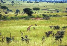 Большому сафари — большой фото-отчет