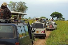 Большому сафари — большой фото-отчет