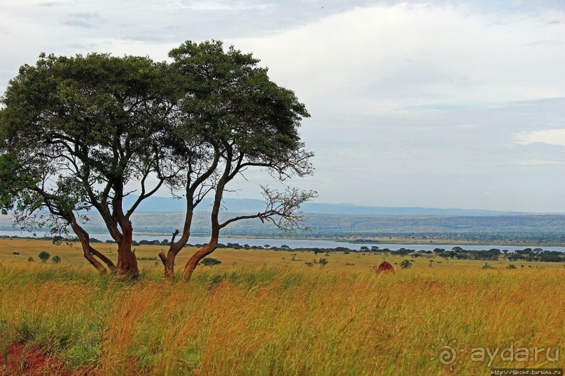 Большому сафари — большой фото-отчет