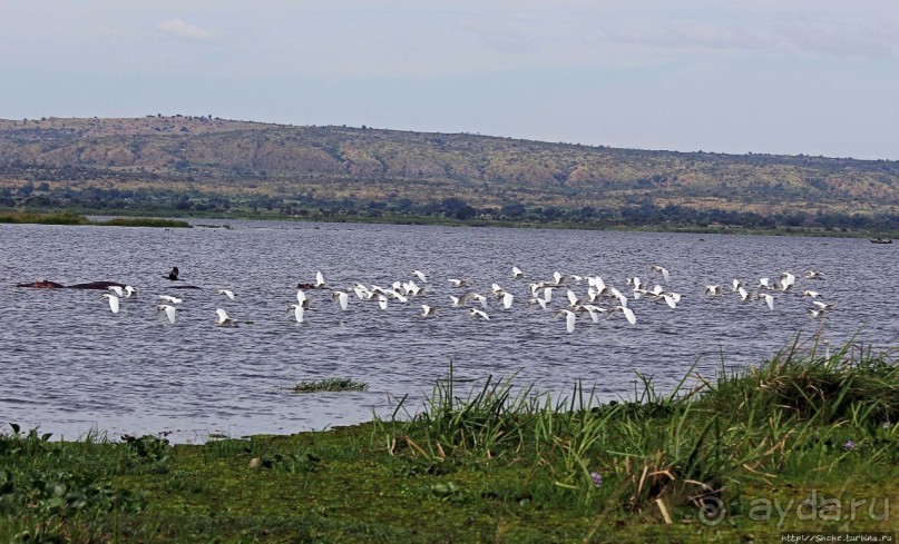 Большому сафари — большой фото-отчет