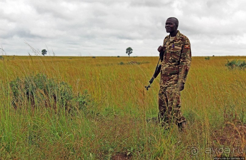 Большому сафари — большой фото-отчет