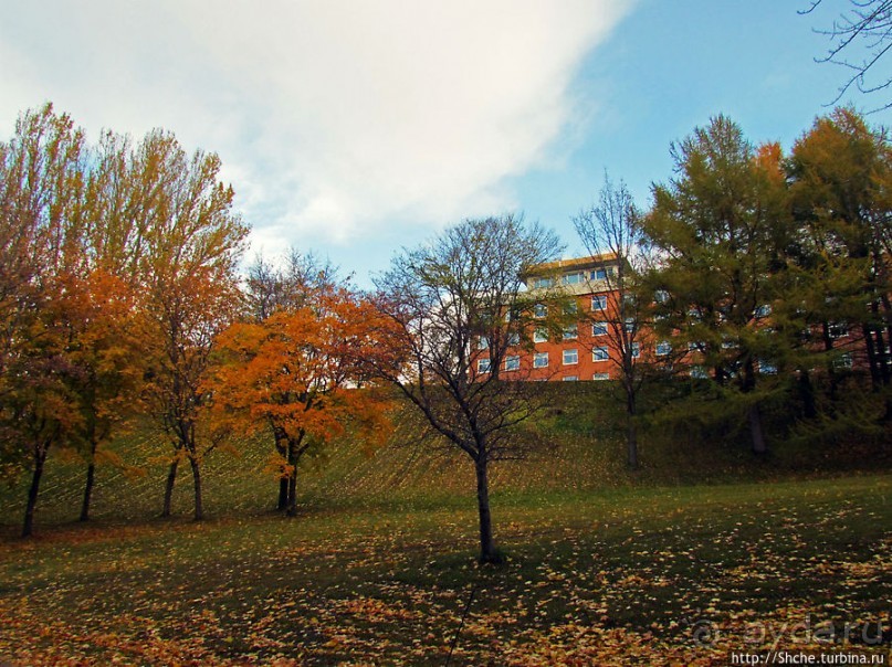 Золотая осень в Норвегии. Тронхейм: так прилично начиналось