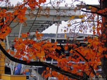 Золотая осень в Норвегии. Тронхейм: так прилично начиналось