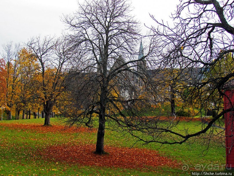 Золотая осень в Норвегии. Тронхейм: так прилично начиналось