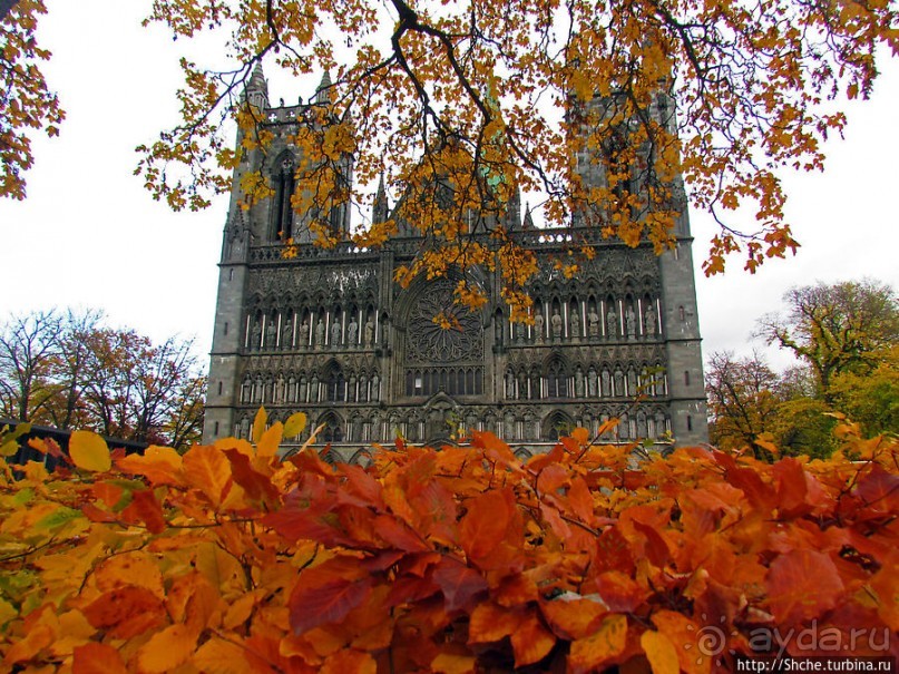 Золотая осень в Норвегии. Тронхейм: так прилично начиналось