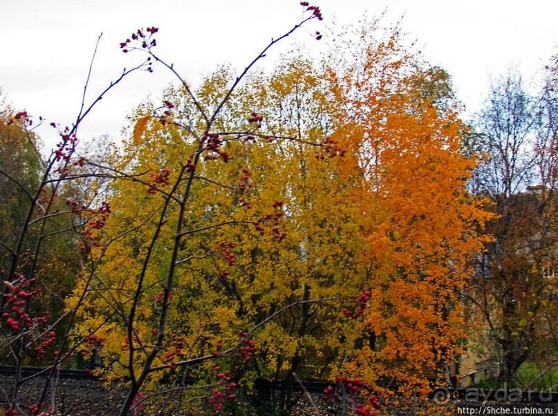 Золотая осень в Норвегии. Тронхейм: так прилично начиналось