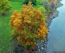 Золотая осень в Норвегии. Тронхейм: так прилично начиналось