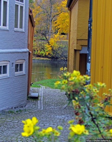 Золотая осень в Норвегии. Тронхейм: так прилично начиналось