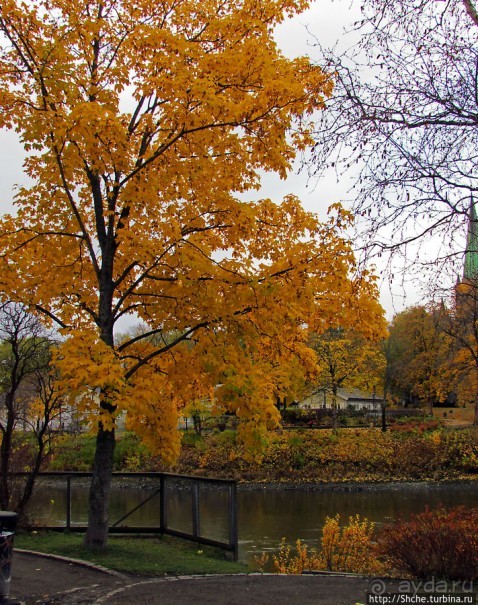 Золотая осень в Норвегии. Тронхейм: так прилично начиналось