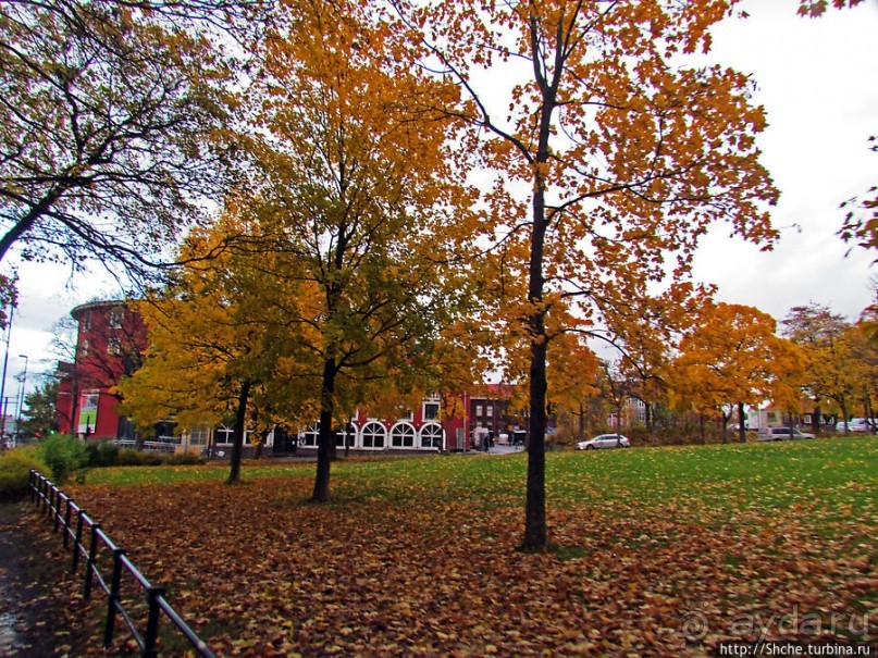 Золотая осень в Норвегии. Тронхейм: так прилично начиналось