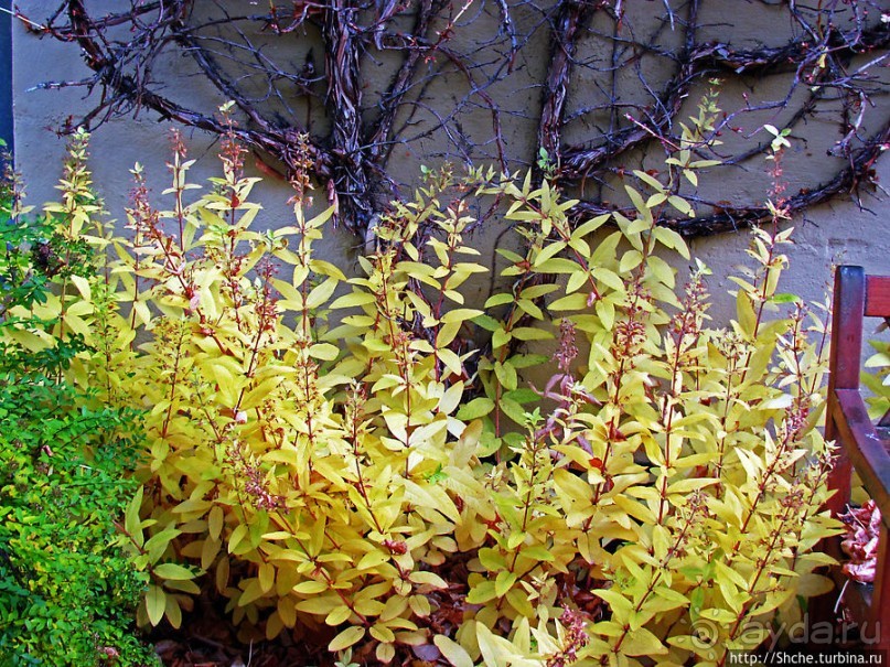 Золотая осень в Норвегии. Тронхейм: так прилично начиналось