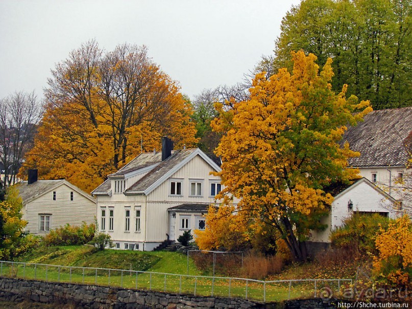 Золотая осень в Норвегии. Тронхейм: так прилично начиналось