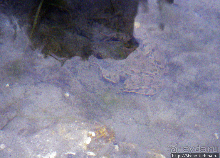 Река Северский Донец — первомайские походы для "чайников"