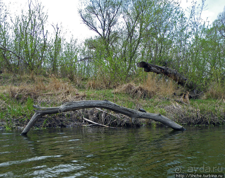 Река Северский Донец — первомайские походы для "чайников"