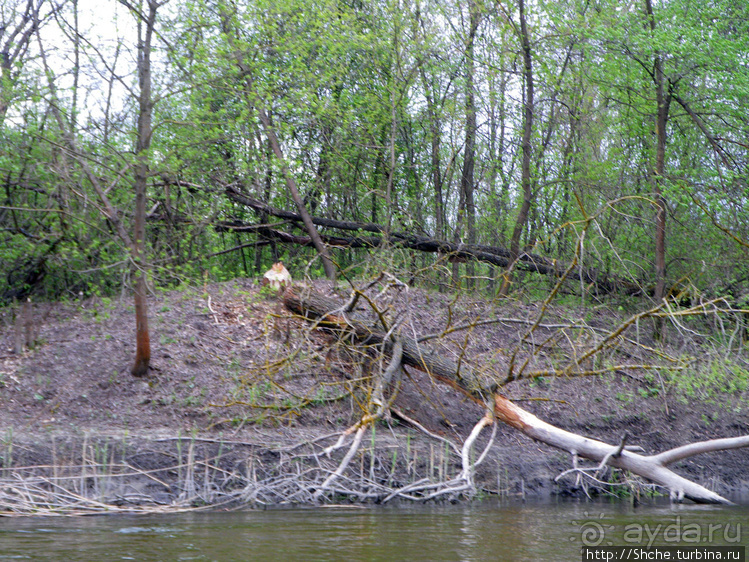 Река Северский Донец — первомайские походы для "чайников"