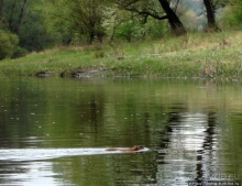 Река Северский Донец — первомайские походы для "чайников"