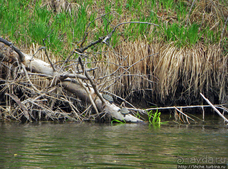 Река Северский Донец — первомайские походы для "чайников"