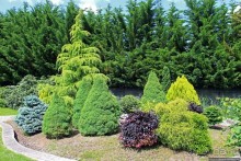 Замки долины Луары — 14 евро за пучок