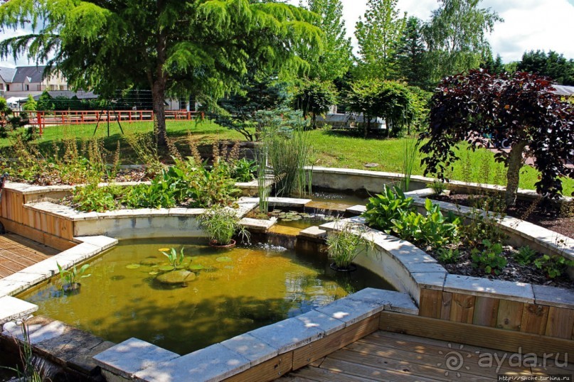 Замки долины Луары — 14 евро за пучок