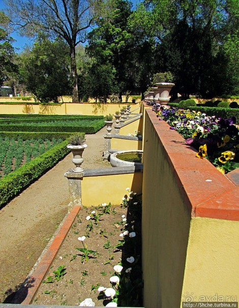 Королевский парк Jardim do Cerco в Мафре