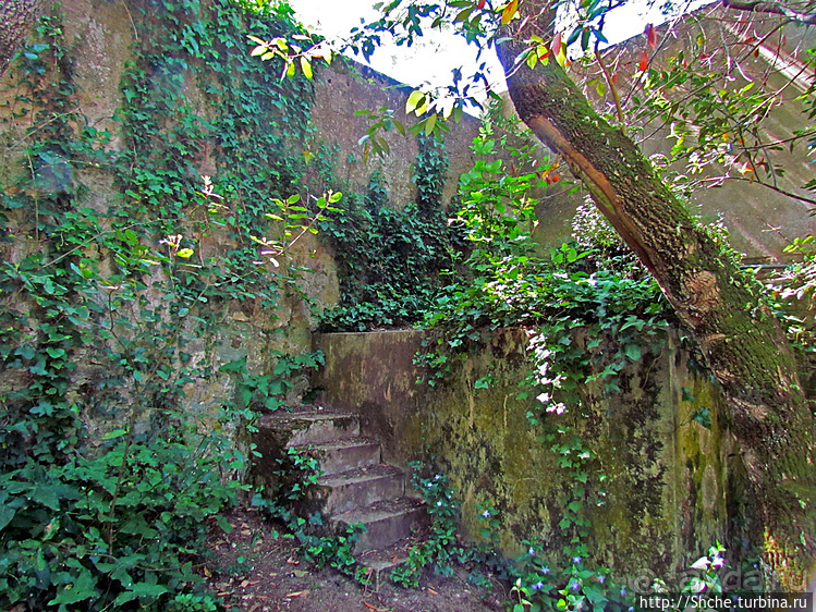 Королевский парк Jardim do Cerco в Мафре