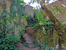 Королевский парк Jardim do Cerco в Мафре