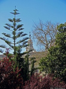 Королевский парк Jardim do Cerco в Мафре