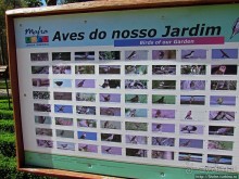 Королевский парк Jardim do Cerco в Мафре