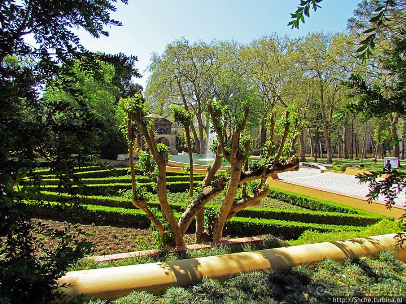 Королевский парк Jardim do Cerco в Мафре