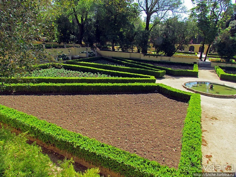 Королевский парк Jardim do Cerco в Мафре