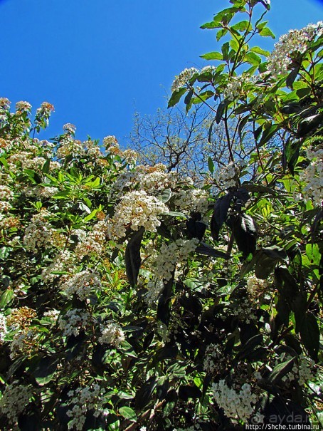 Королевский парк Jardim do Cerco в Мафре