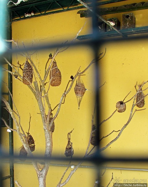 Королевский парк Jardim do Cerco в Мафре