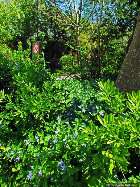 Королевский парк Jardim do Cerco в Мафре