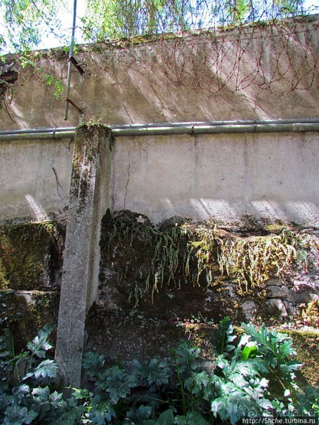 Королевский парк Jardim do Cerco в Мафре