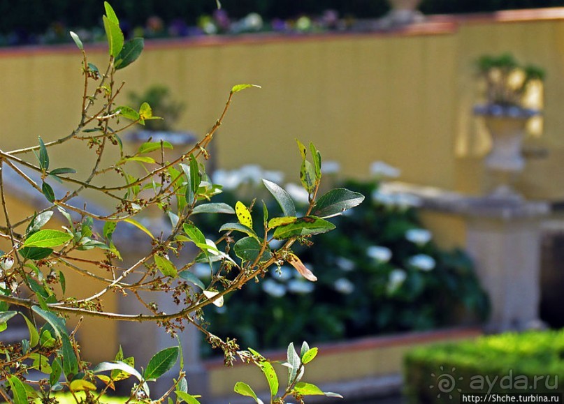 Королевский парк Jardim do Cerco в Мафре