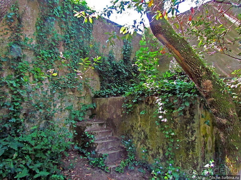 Королевский парк Jardim do Cerco в Мафре