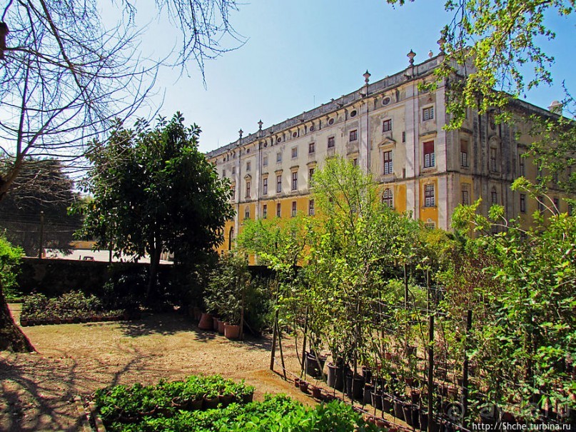 Королевский парк Jardim do Cerco в Мафре