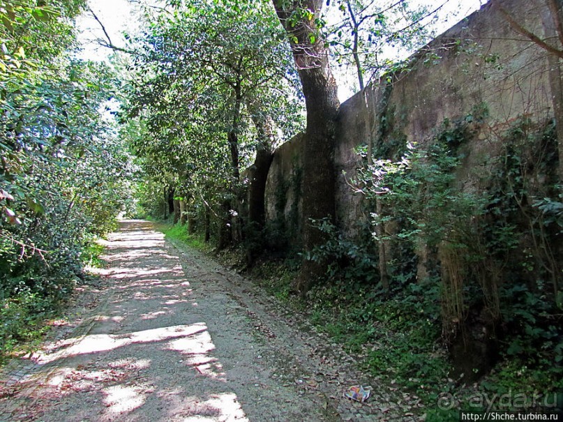Королевский парк Jardim do Cerco в Мафре