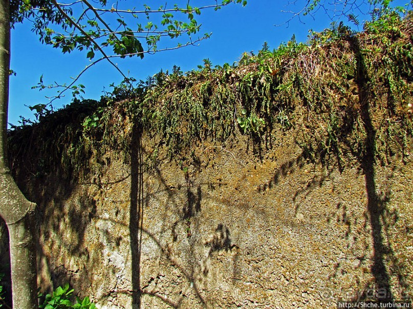 Королевский парк Jardim do Cerco в Мафре