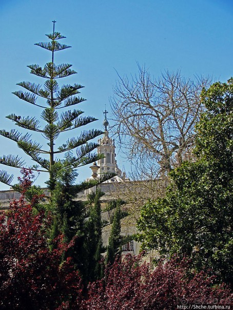 Королевский парк Jardim do Cerco в Мафре