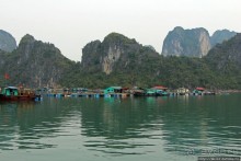 Альбом отзыва "Место, куда на землю спустился дракон — памятник ЮНЕСКО №672"