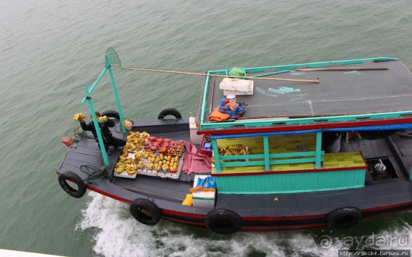 фото Халонга